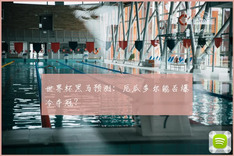 世界杯黑马预测：厄瓜多尔能否爆冷夺冠？