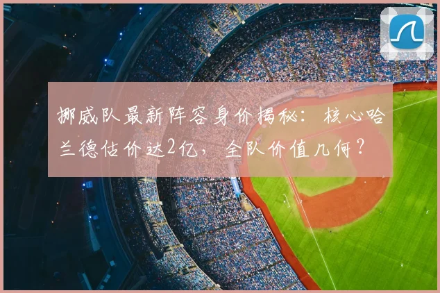 挪威队最新阵容身价揭秘:核心哈兰德估价达2亿,全队价值几何?