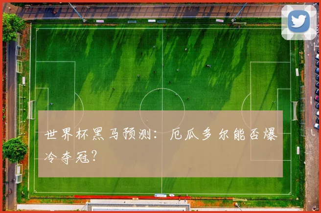 世界杯黑马预测:厄瓜多尔能否爆冷夺冠?